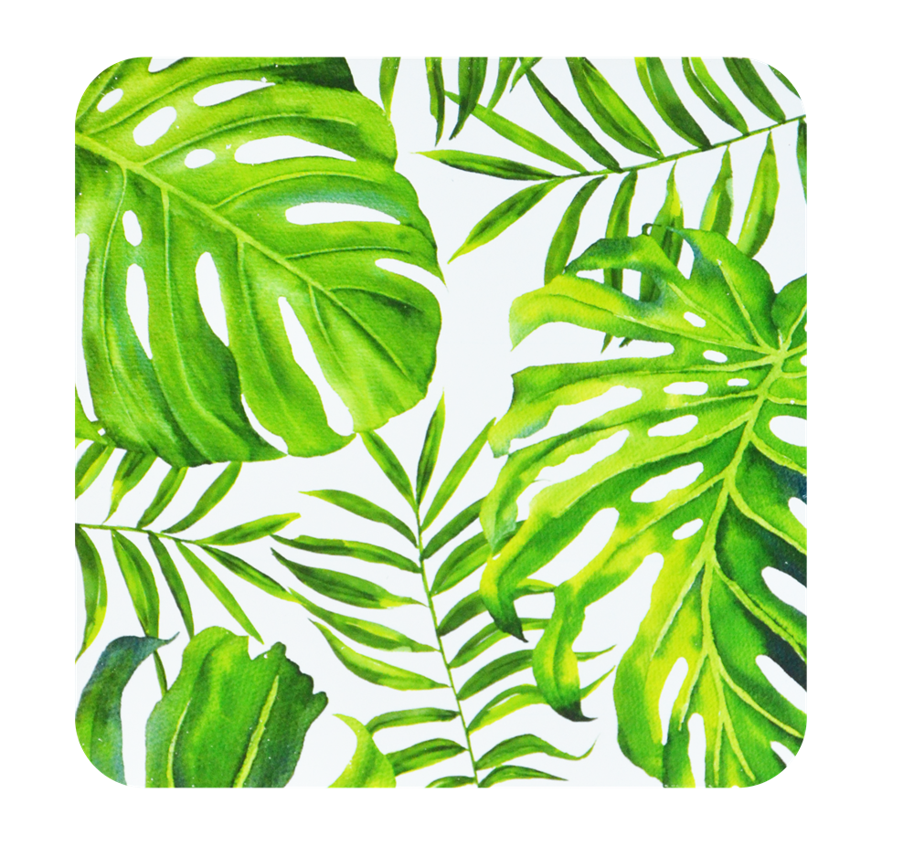 PAÇİ-BAMBU AMAZON NİHALE