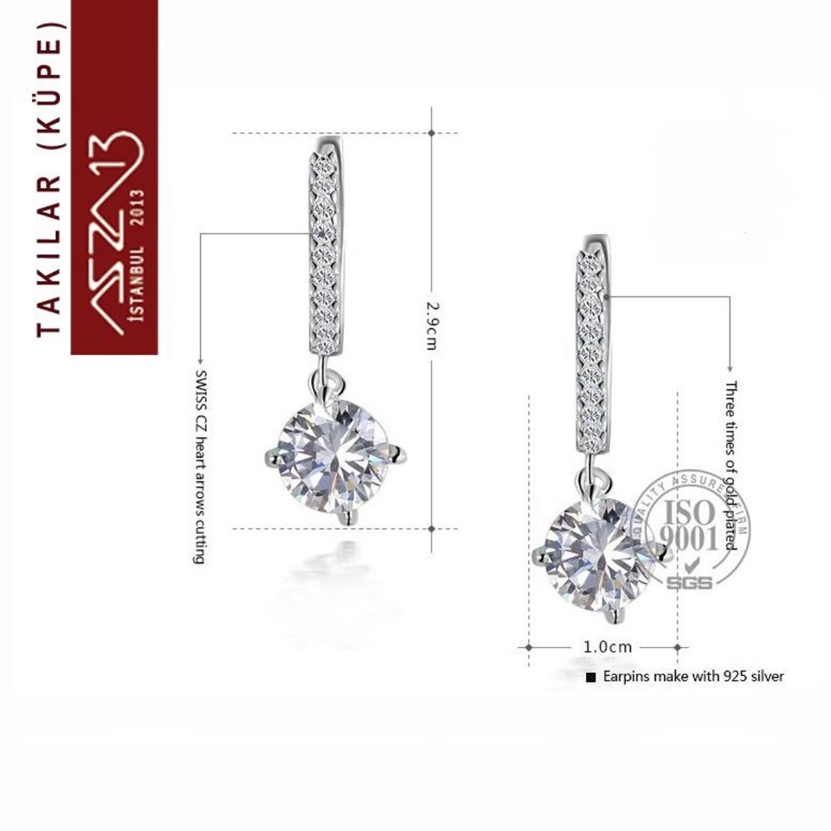 KüpeTAKIMarkasızKristal Taşlı Halka Kanca Üzerinde Zirkon Elmas Sallantılı Platinyum Küpe