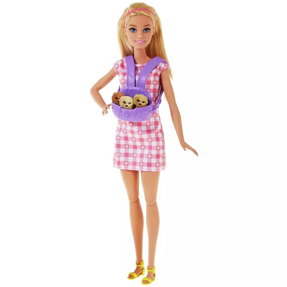 Barbie Ve Yeni Doğan Köpekler Oyun Seti HCK75
