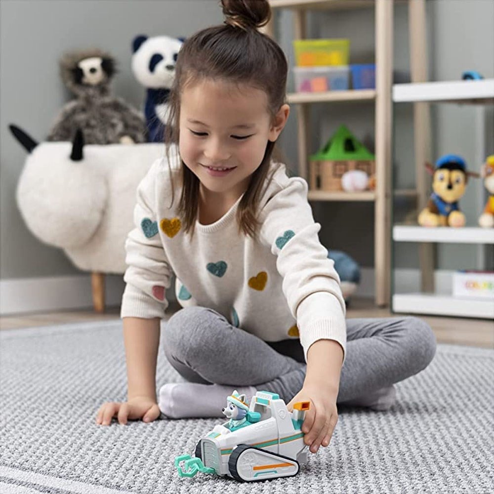 Basic Vehicle Everest Solid 6061802