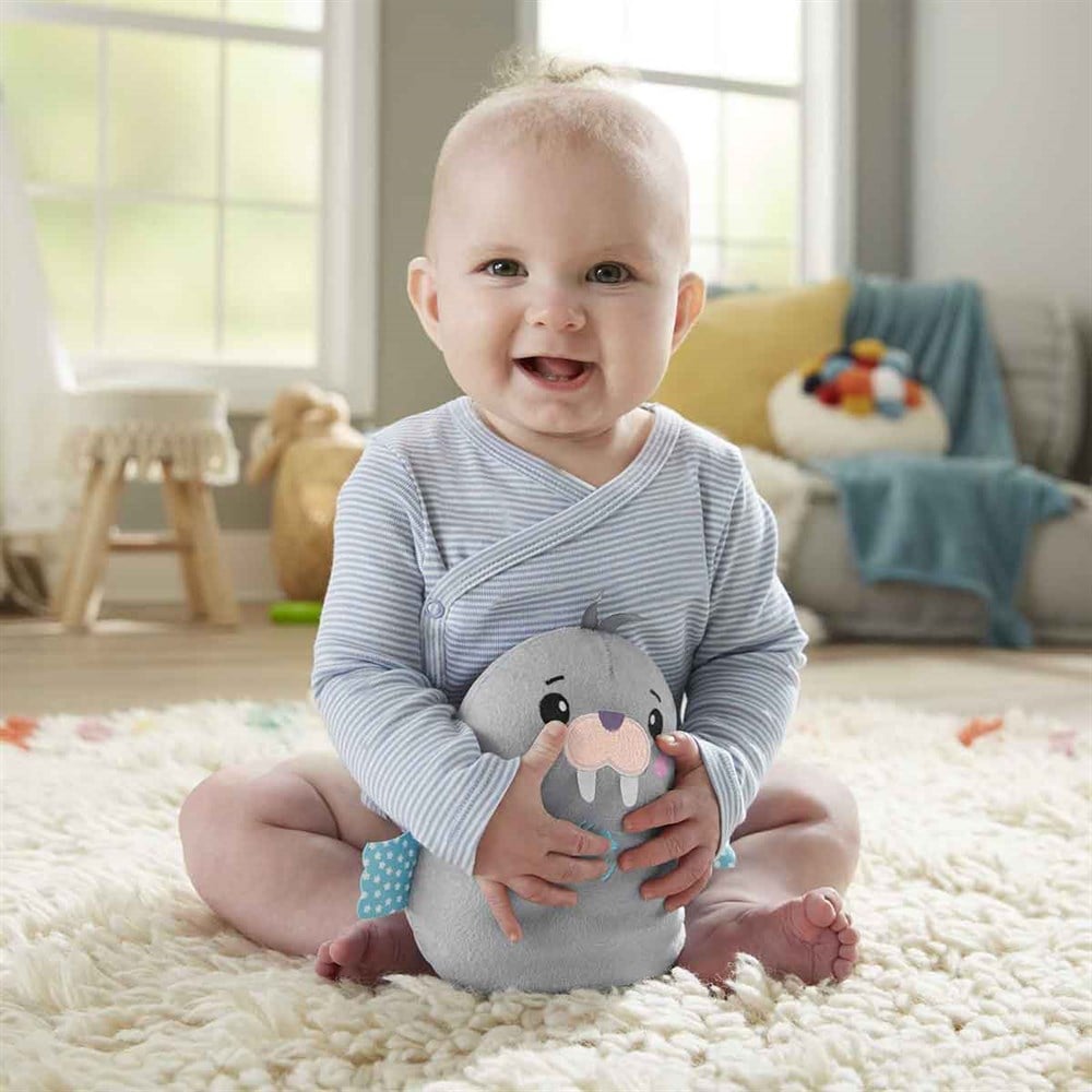 Fisher Price Sevimli Mors Uyku Arkadaşım