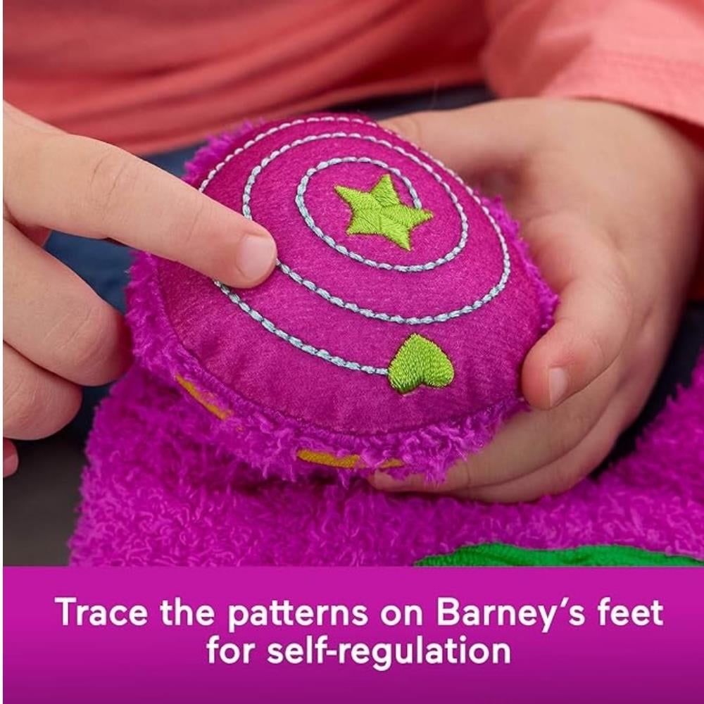 HYG89 SENSORY BARNEY