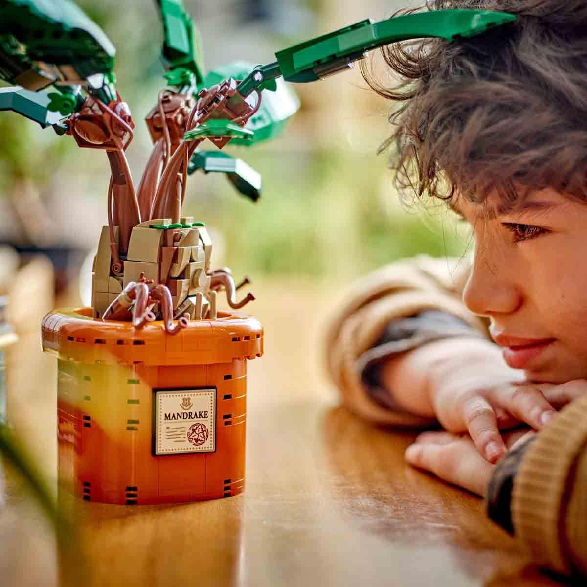 Lego Harry Potter Adamotu 76433 579 Parça