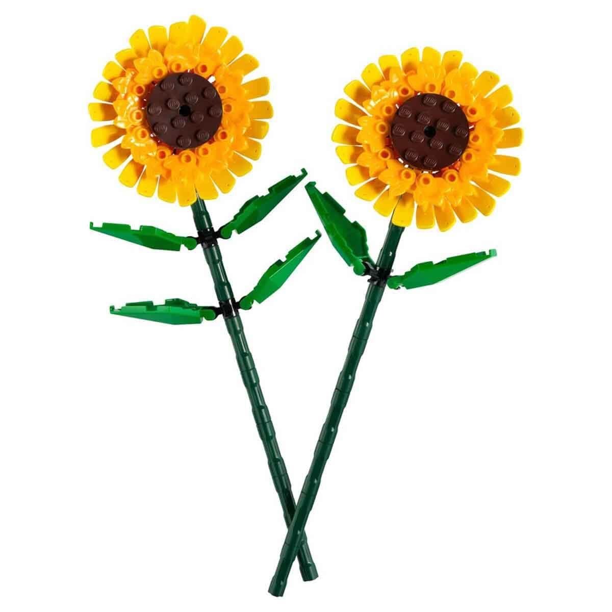 LFL40524 SUNFLOWERS