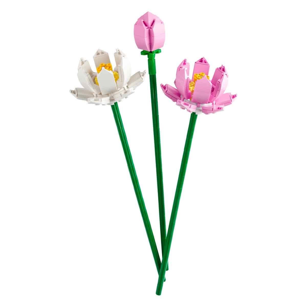 LFL40647 LOTUS FLOWERS