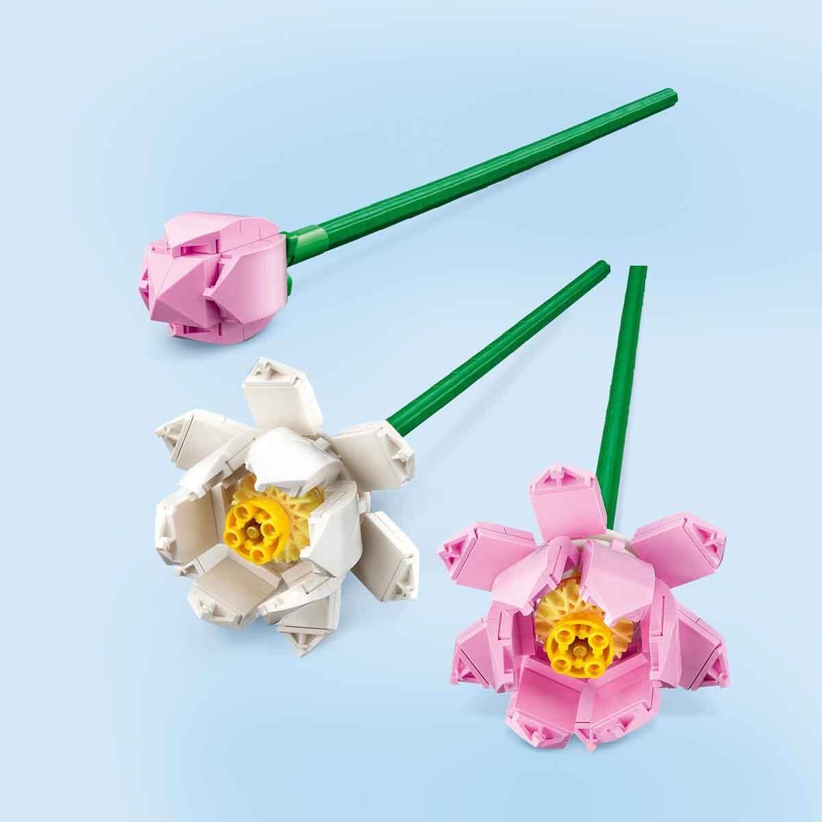 LFL40647 LOTUS FLOWERS