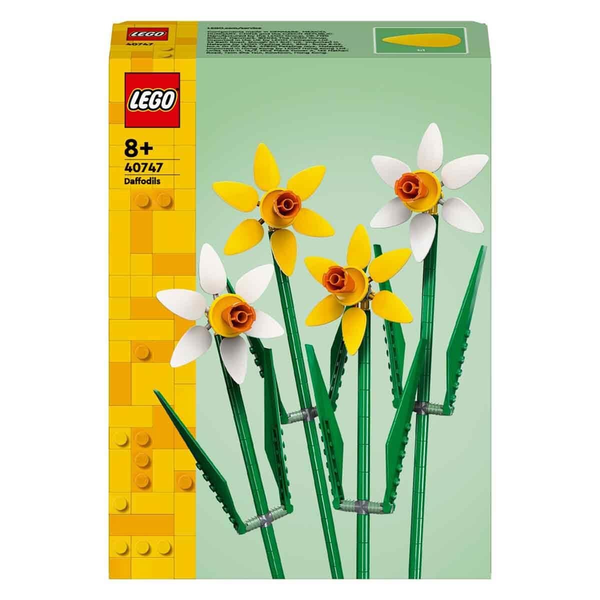 LFL40747 DAFFODILS