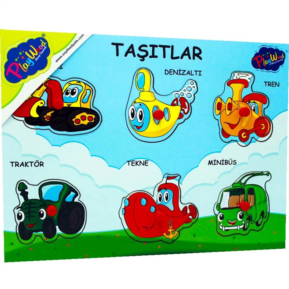 ONY-145/146 AHSAP TUTMALI TASITLAR