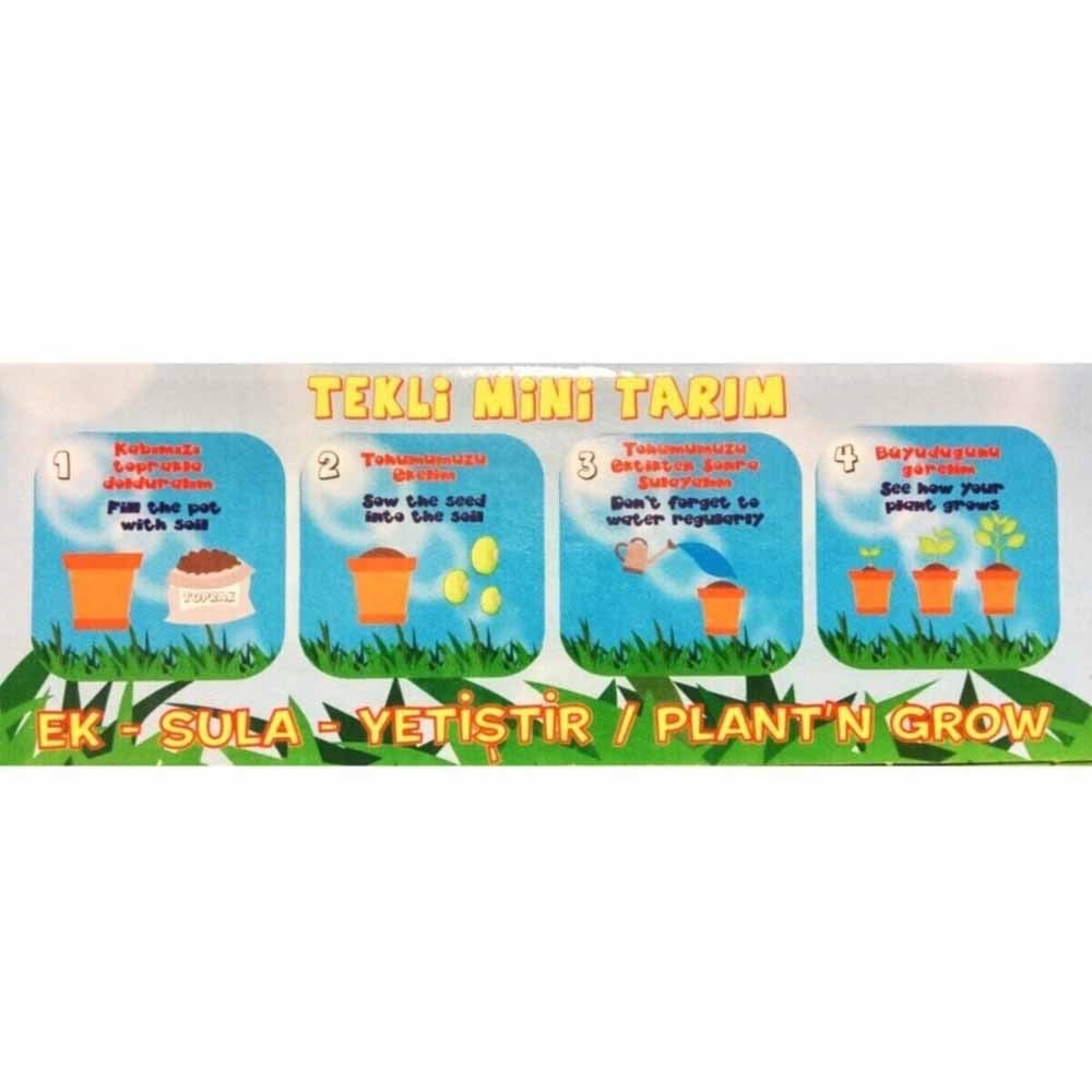 Tekli Mini Tarım