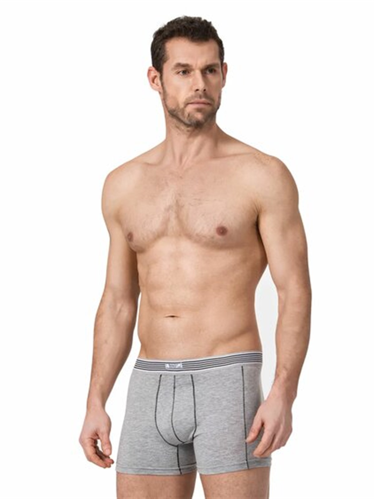 ELASTAN ERKEK BOXER