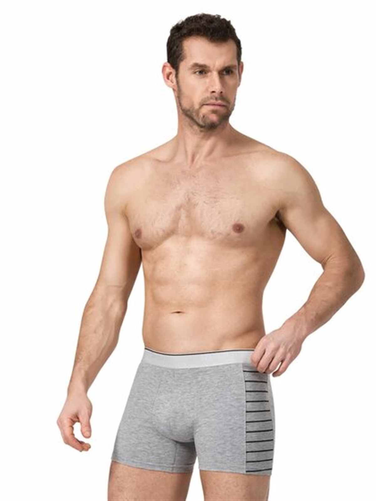 ELASTAN ERKEK BOXER (CONTRA)