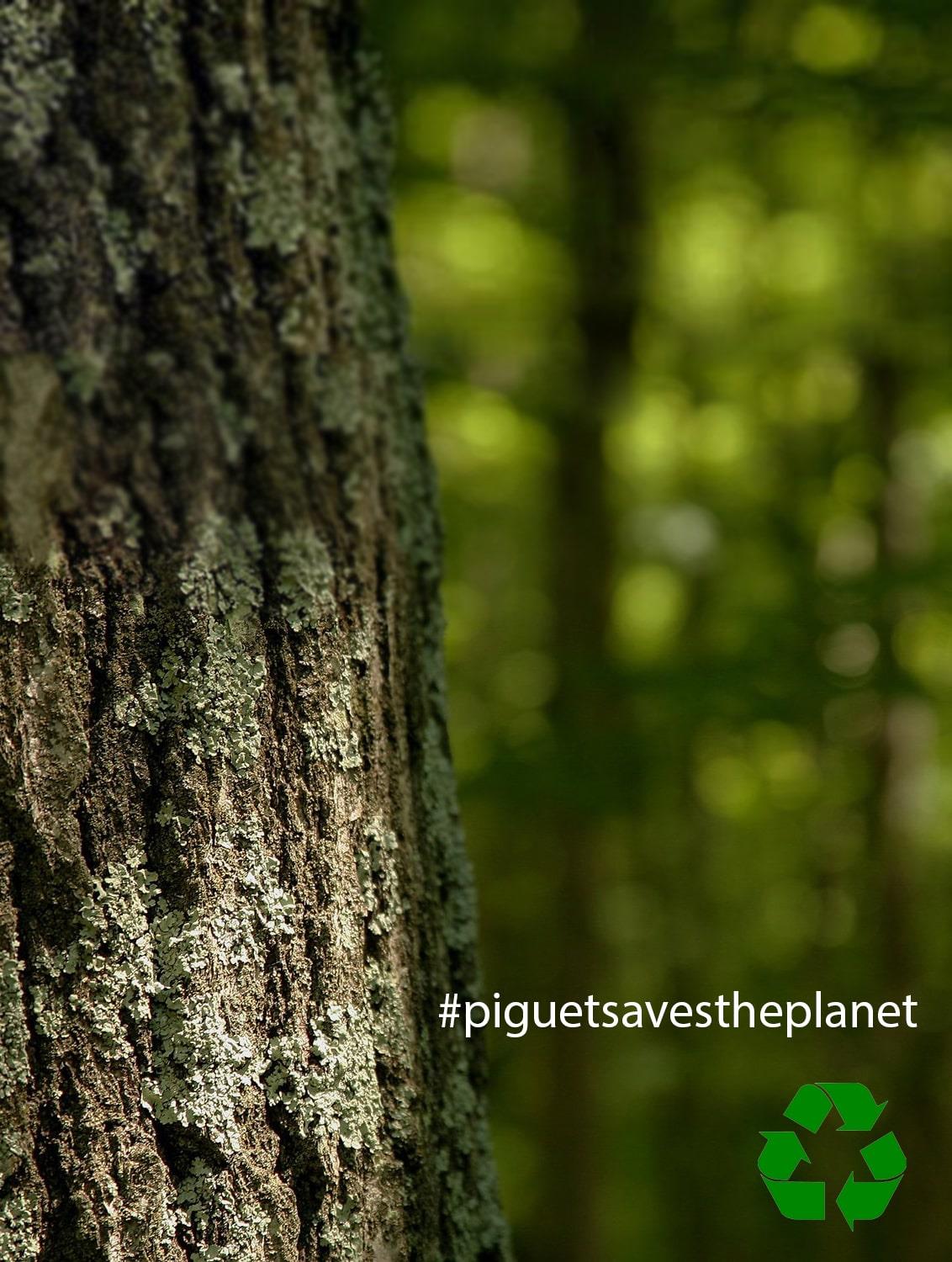Piguet Save the Planet Save the Planet