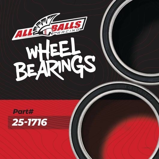 ALL BALLS ATV DEBRİYAJ RULMAN SETİ