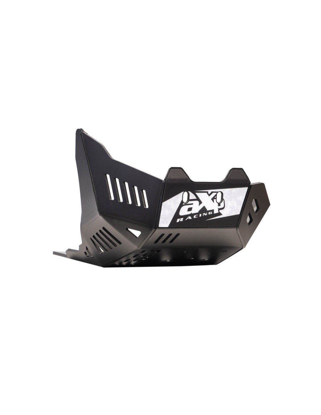 AXP BMW F900 GS KARTER KORUMA 24-26