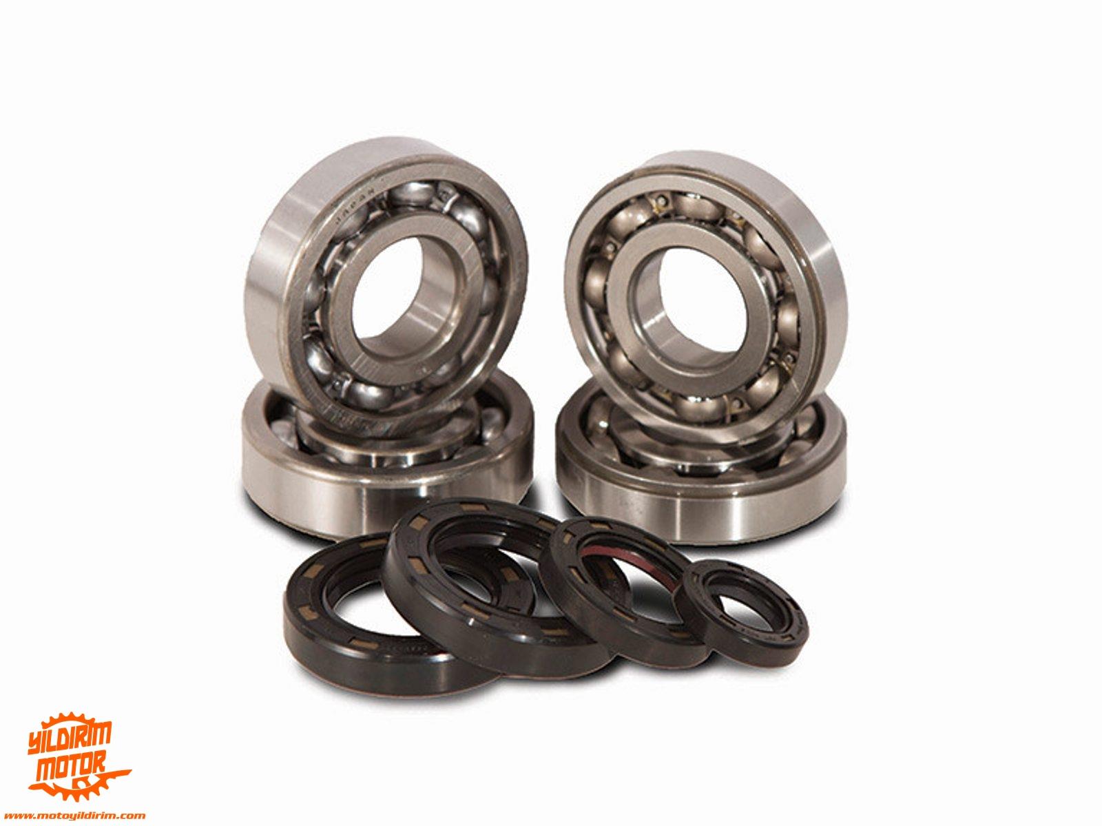 HOT RODS YZ65 KRANK BİLYA KEÇE SETİ 18-20