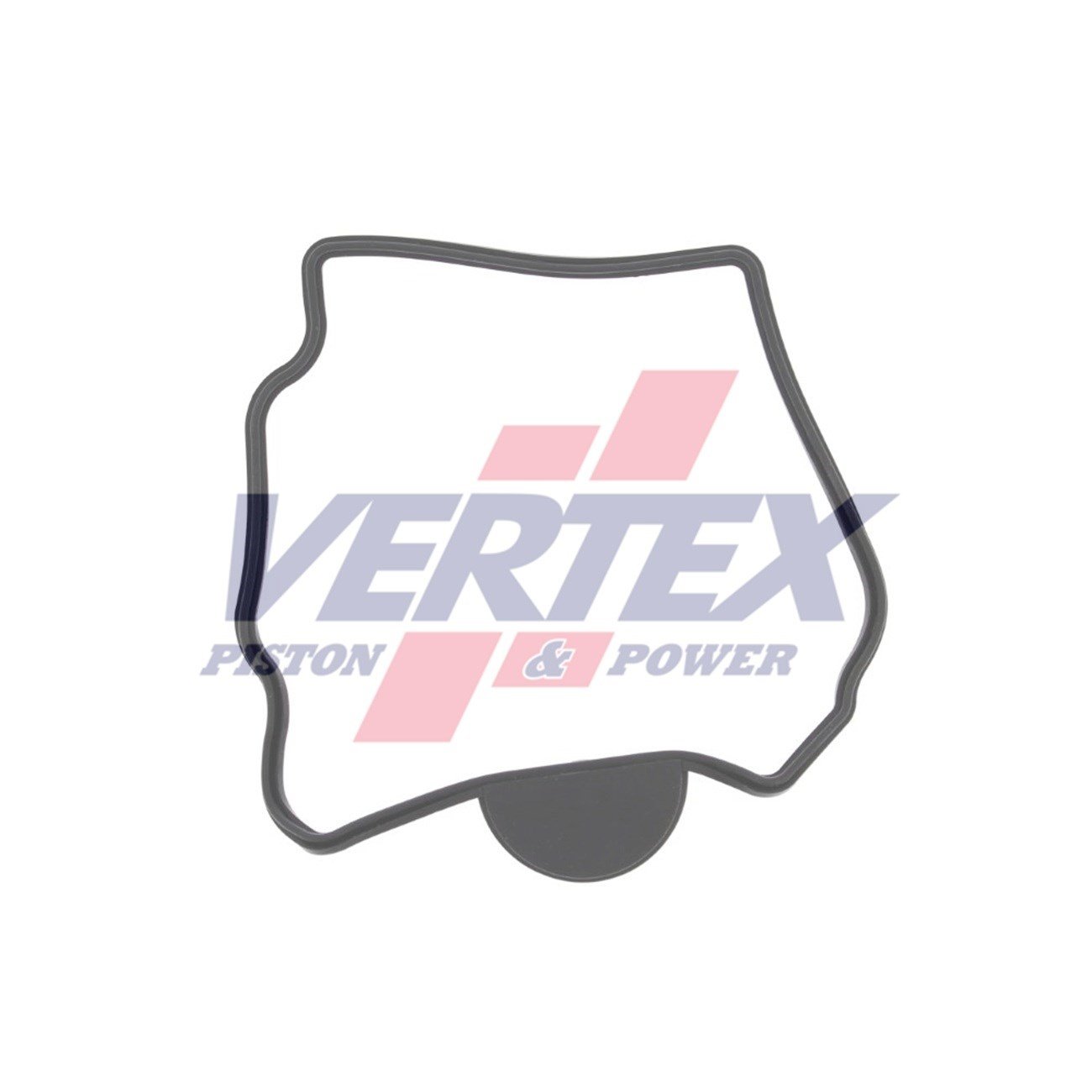 VERTEX CRF 250R KÜRBÜRATÖR CONTA 04-09