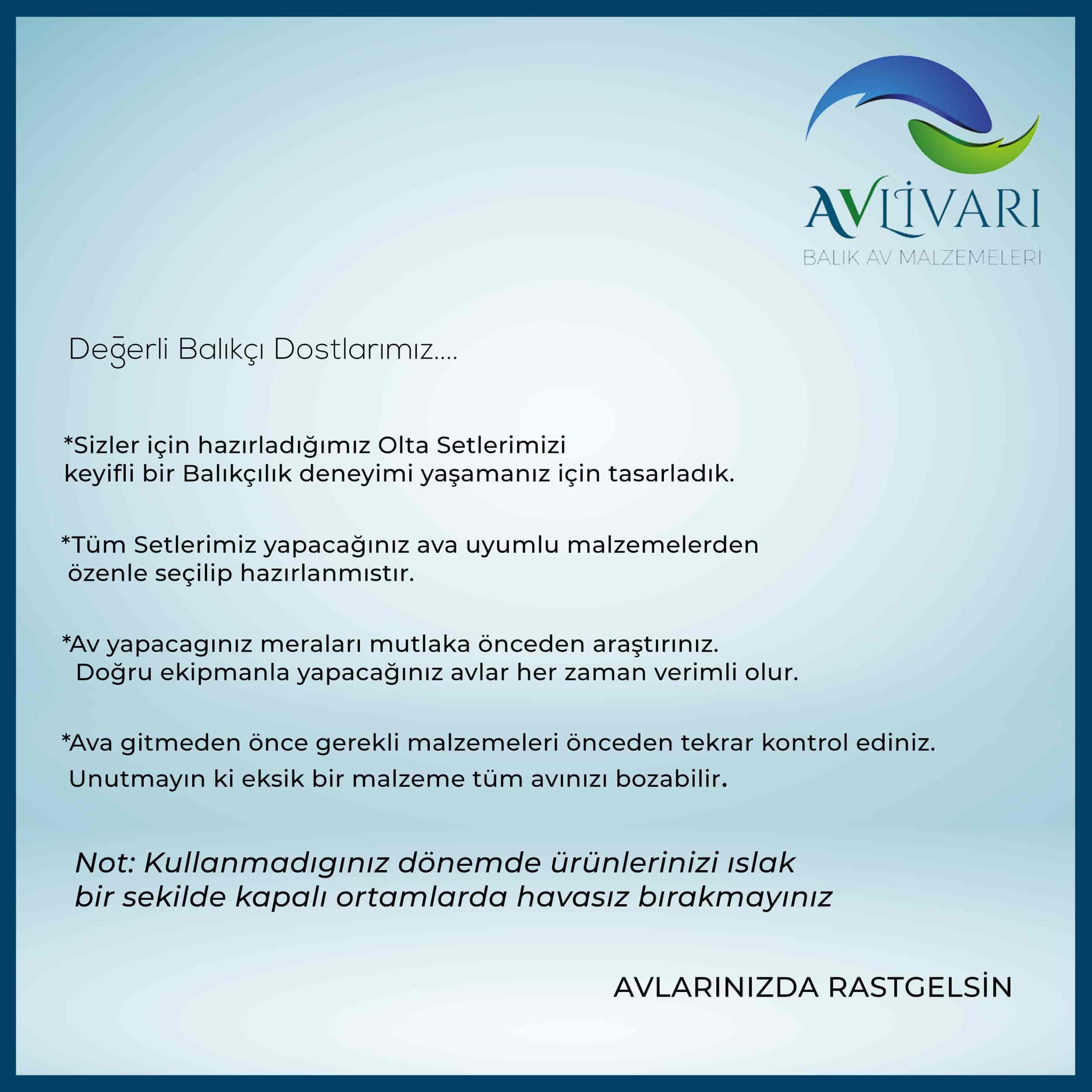 Alesta Niagara 150 Cm Olta Kamışı- Avlivar Kube 3000 Metal Kafa Olta Makinası Tam Takım Lüx Usta Profesyonel Hobi Turna Balığı Olta Seti