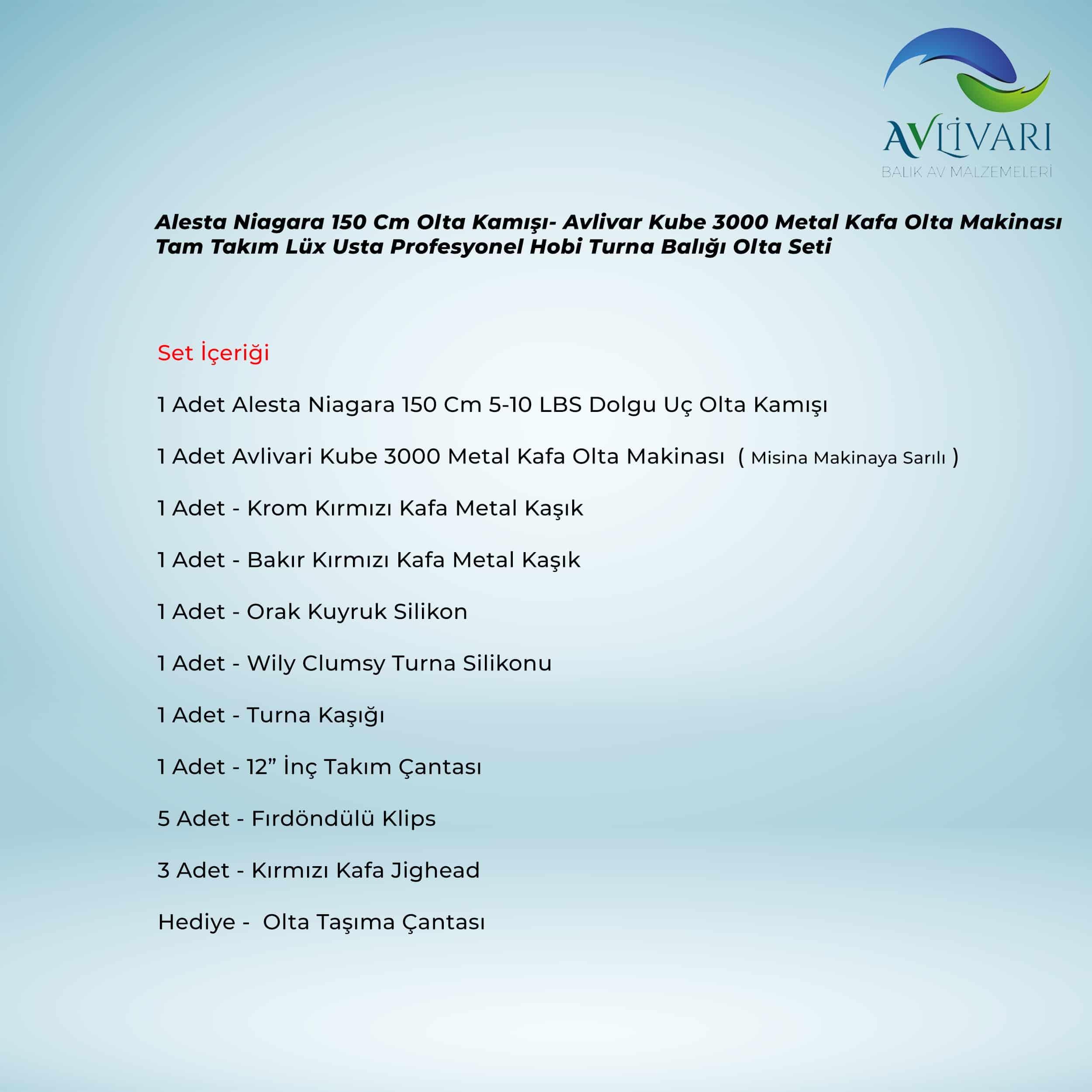 Alesta Niagara 150 Cm Olta Kamışı- Avlivar Kube 3000 Metal Kafa Olta Makinası Tam Takım Lüx Usta Profesyonel Hobi Turna Balığı Olta Seti