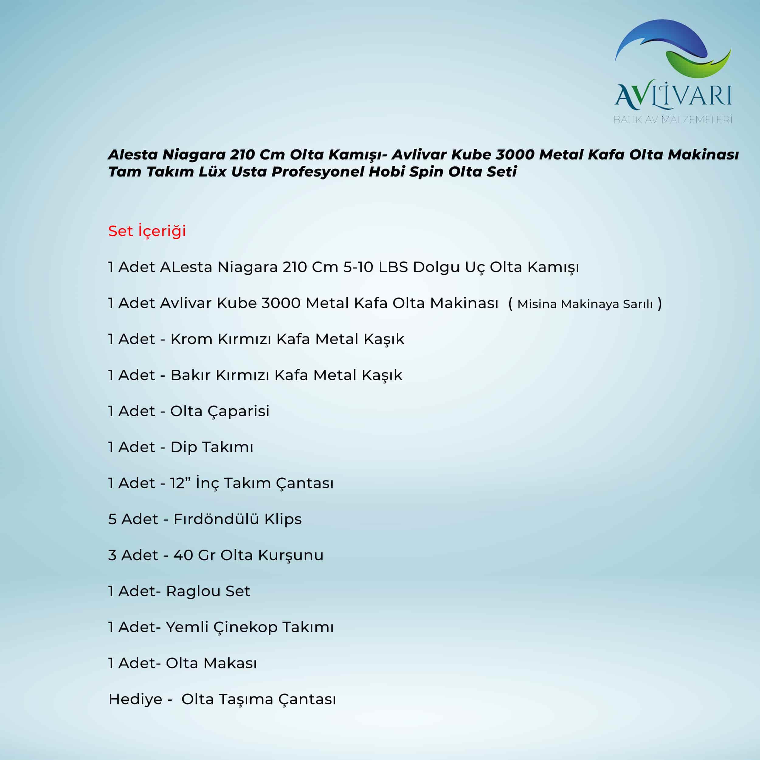 Alesta Niagara 210 Cm Olta Kamışı- Avlivar Kube 3000 Metal Kafa Olta Makinası Tam Takım Lüx Usta Profesyonel Hobi Spin Olta Seti