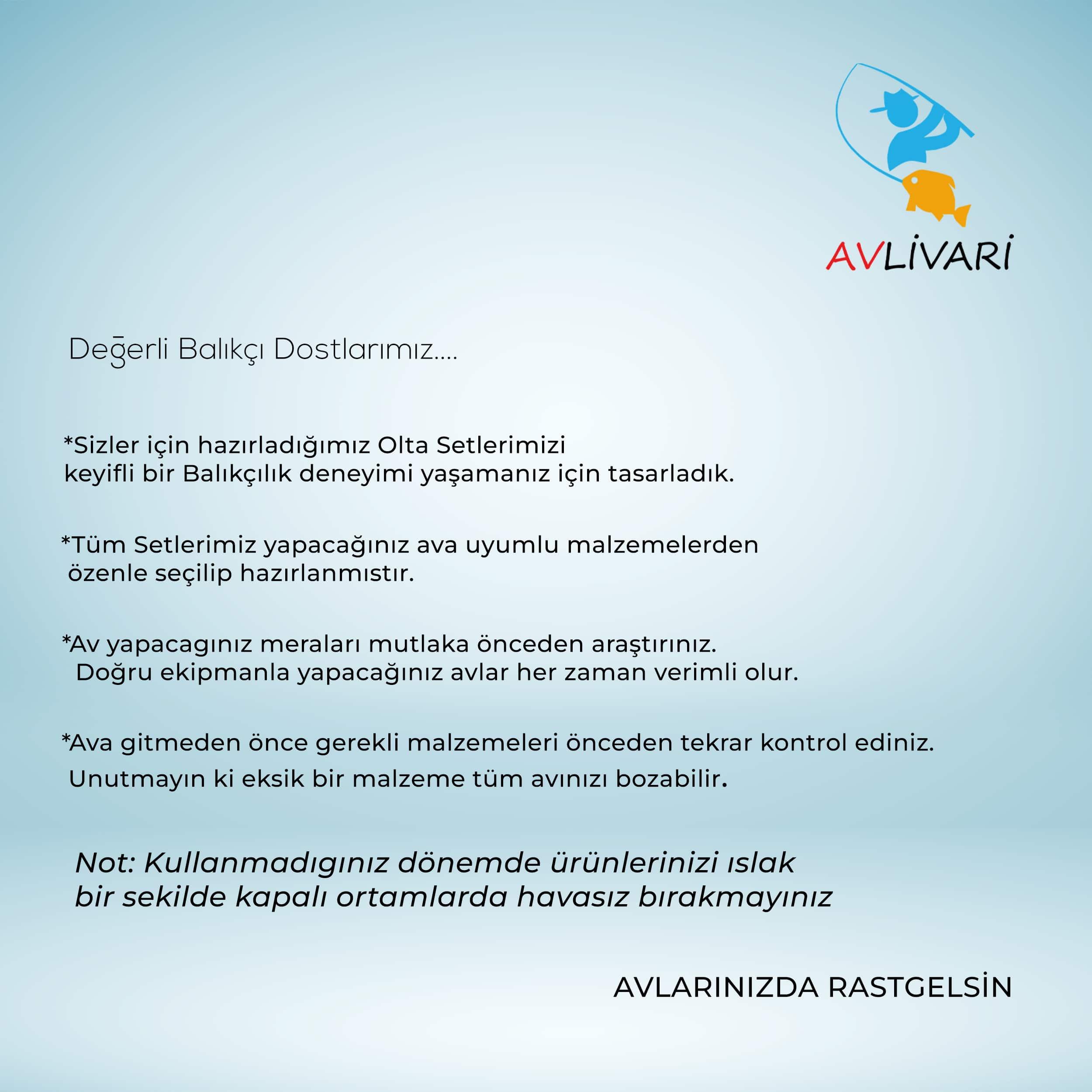 Avlivari Bauer Ares - Kube 6000 Metal Kafa Olta Makinası Tam Takım Lüx Usta Profesyonel Hobi Surf Olta Seti