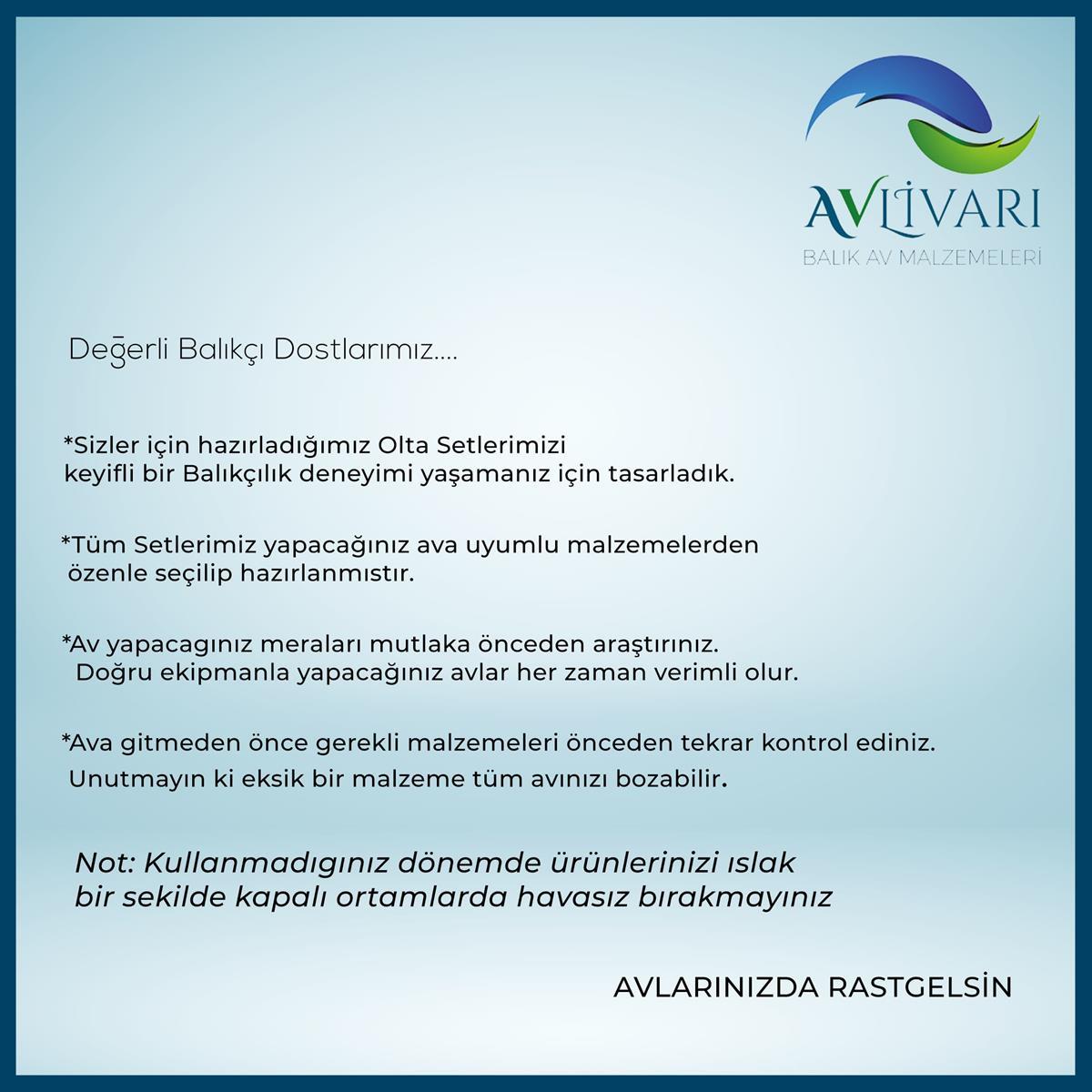 Etovei 300 Cm CB240 4000  Tatlı Su - Tuzlu Su Tam Takım Lüx Usta Profesyonel Hobi Deniz ve Göl Olta Seti