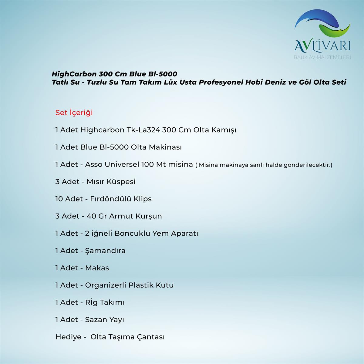 HightCarbon 300 Cm  Blue Bl-5000  Tam Takım Lüx Usta Profesyonel Hobi Sazan Balığı Avı Olta Seti 