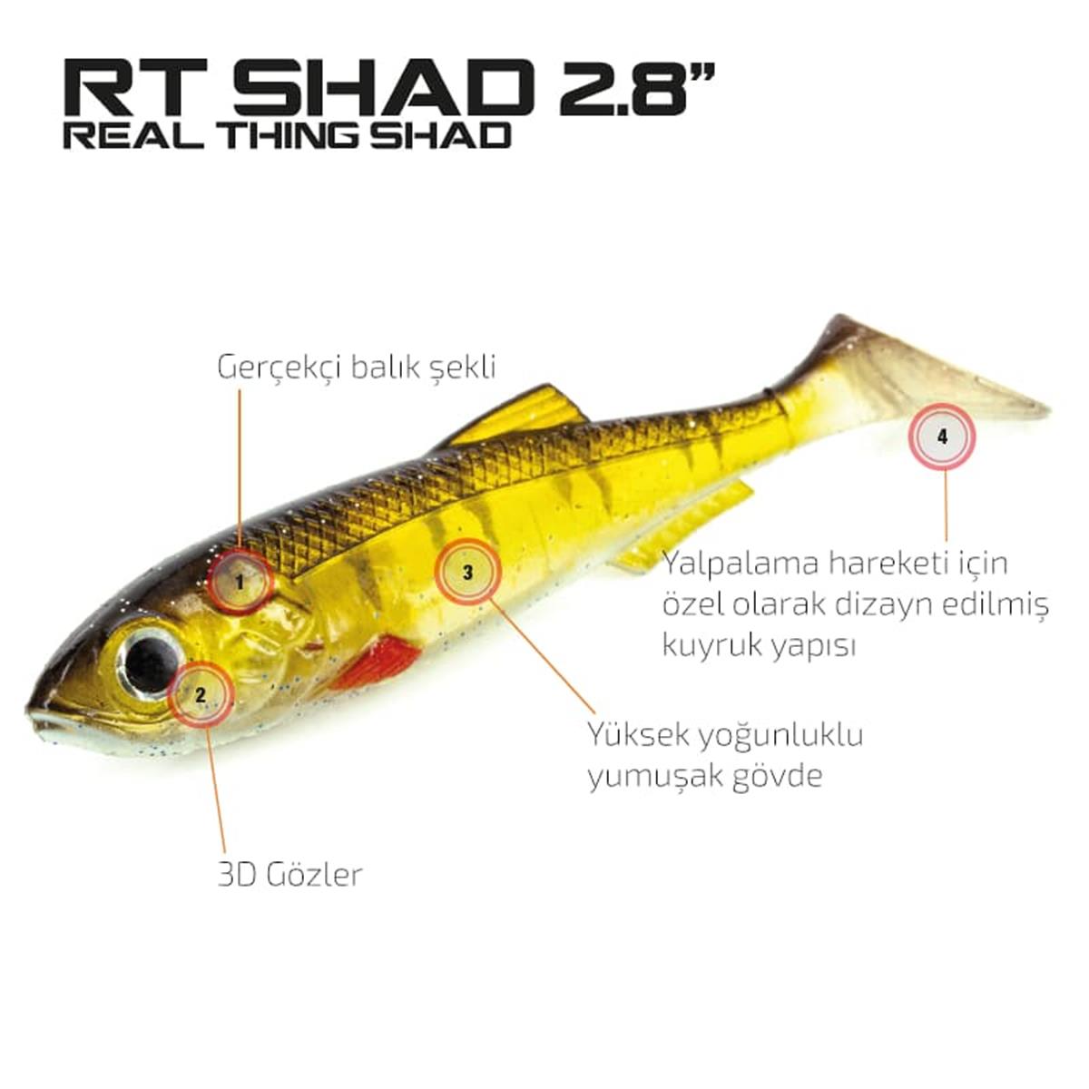 Molix RT Shad 2.8'' 7cm Silikon Sahte Balık Yemi