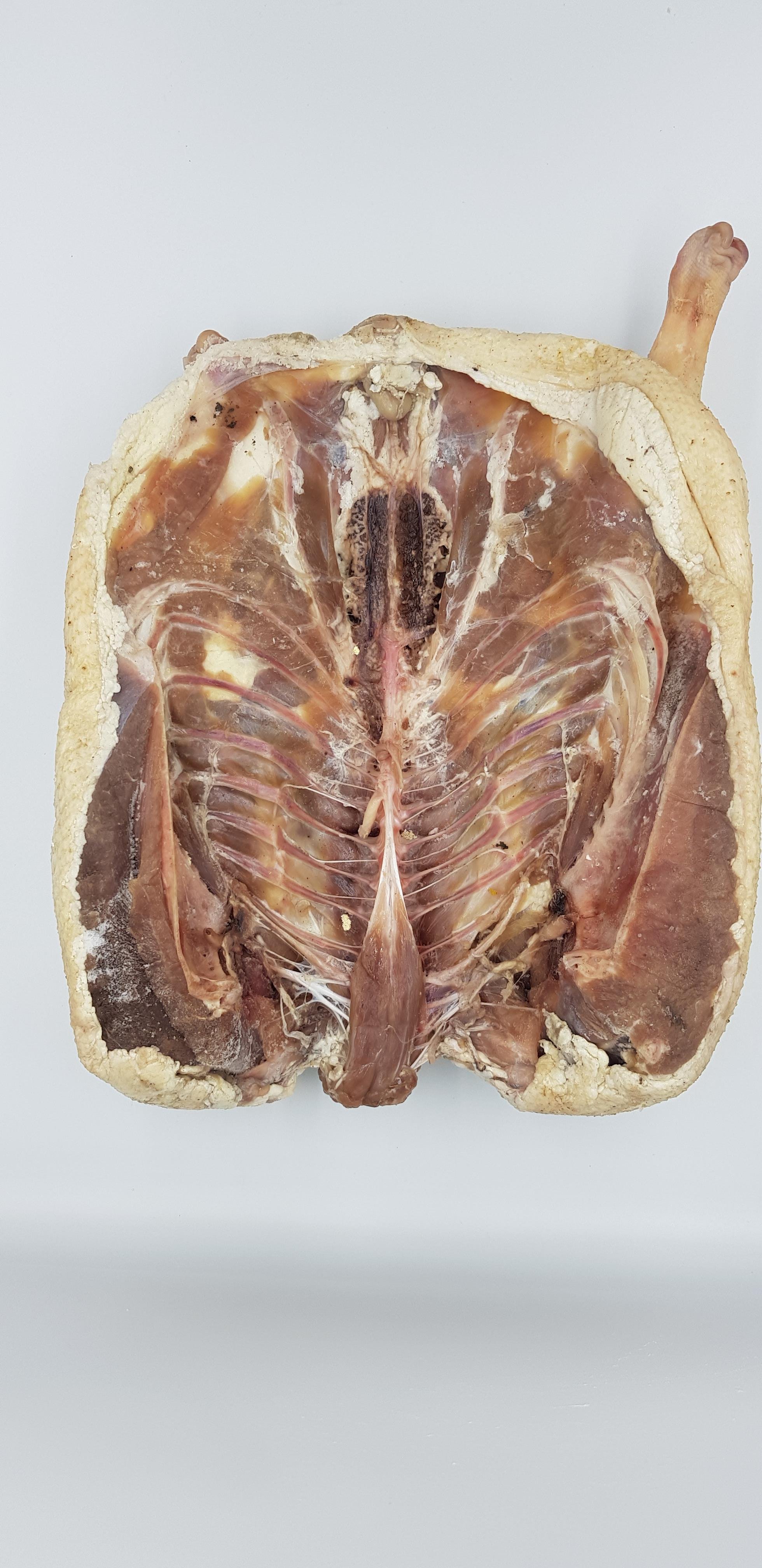 Kars Kaz Eti 2.600 KĞ İla 3 KĞ Arası