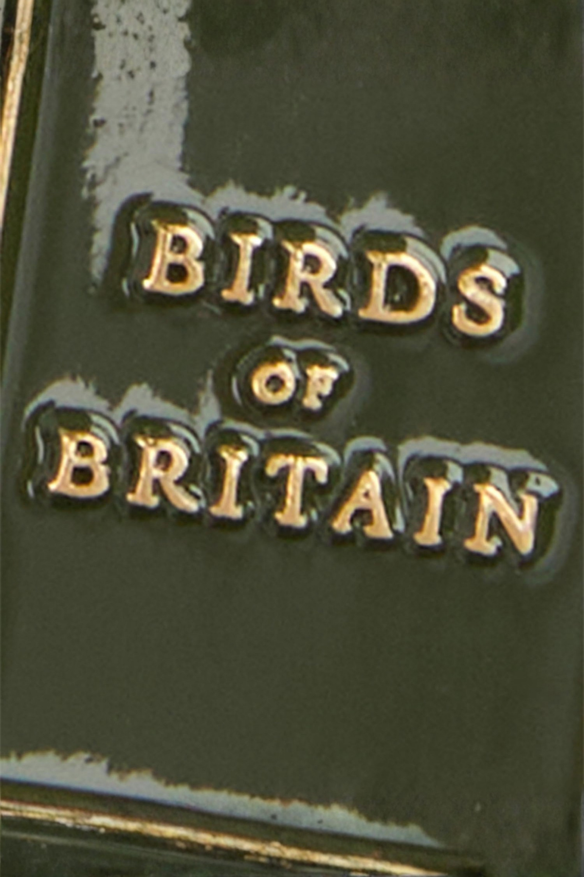 Barbour Bird Spotter Anahtarlık GN31 Bird Spotter
