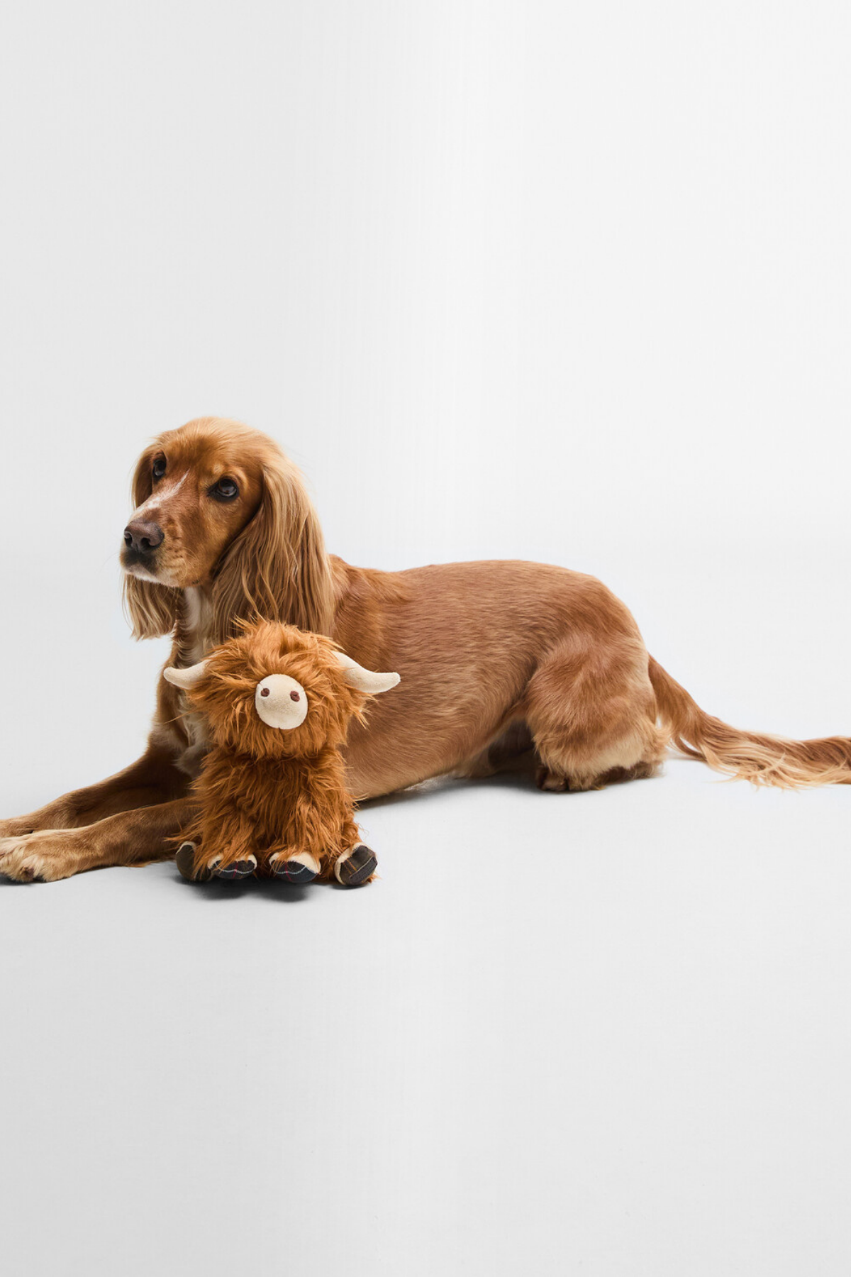 Barbour Dog Highland Cow Köpek Oyuncağı BR11 Brown Classic