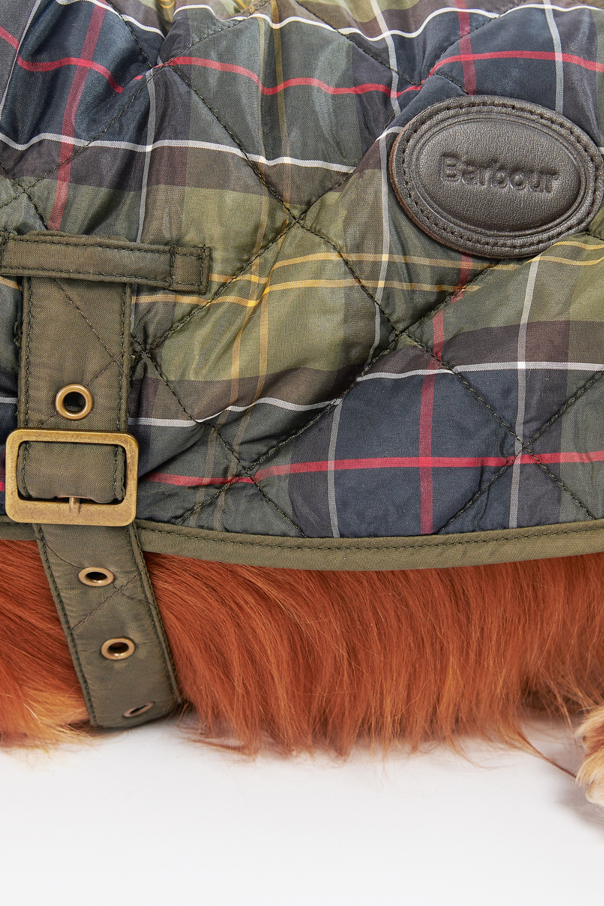 Barbour Ekose Köpek Montu TN11 Classic Tartan