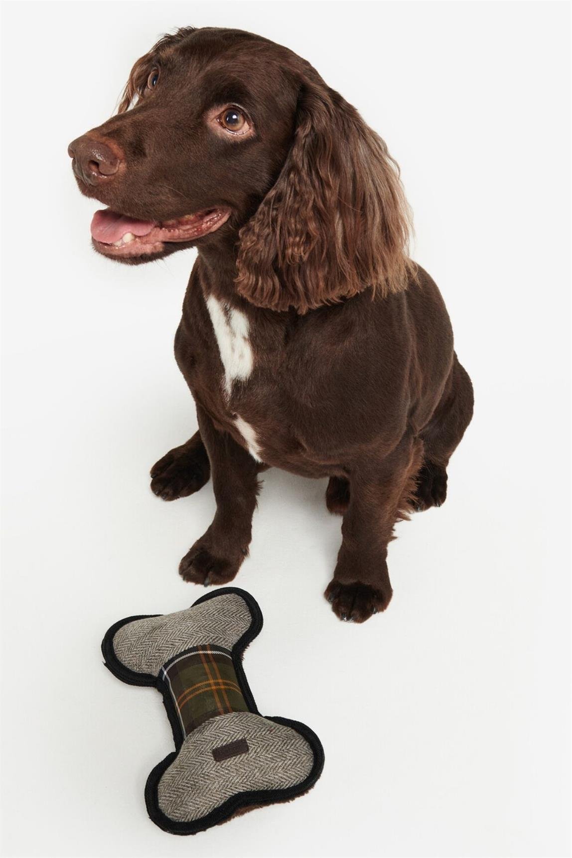 Barbour Köpek Oyuncağı MI11 Bone