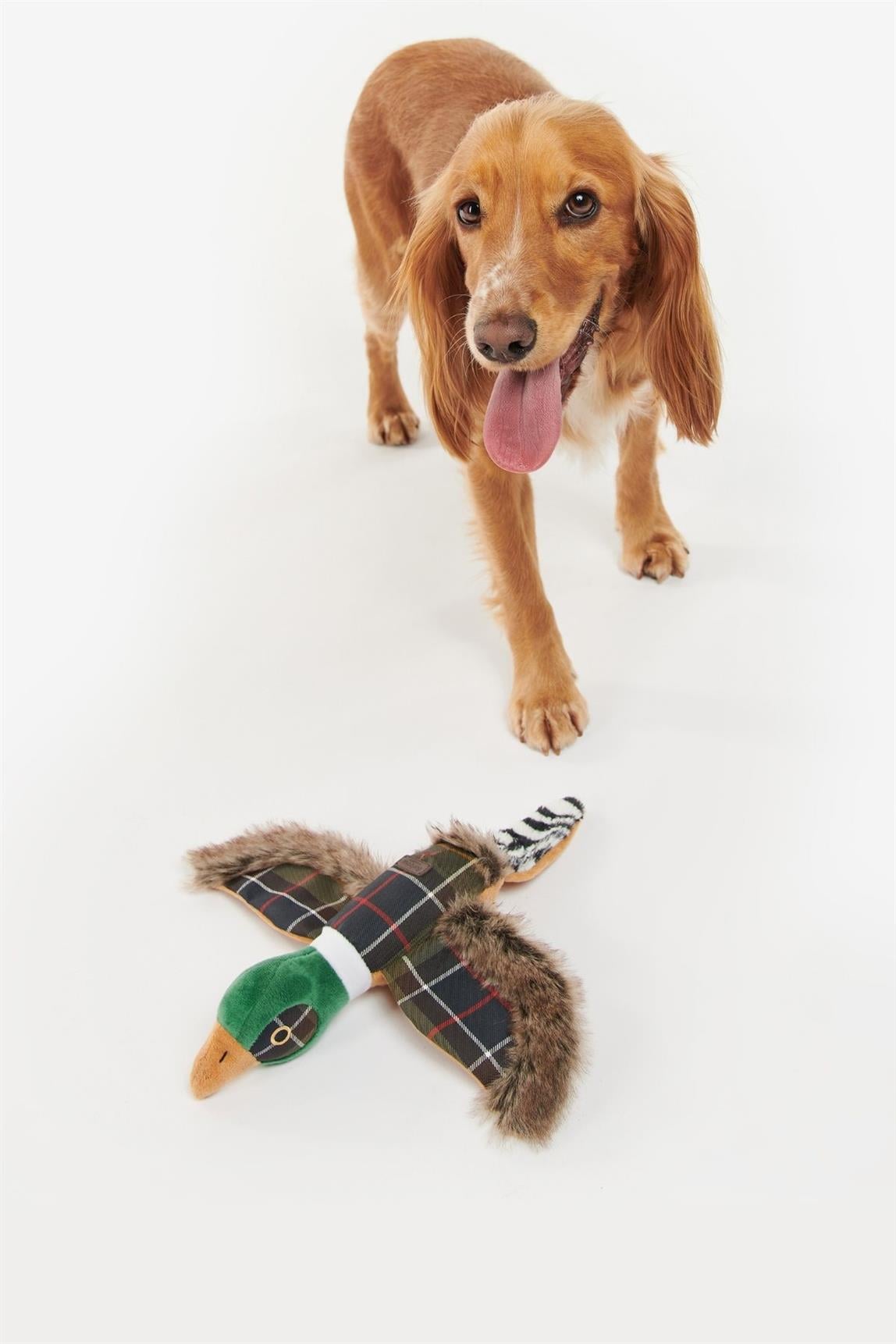 Barbour Köpek Oyuncağı TN11 Classic Tartan