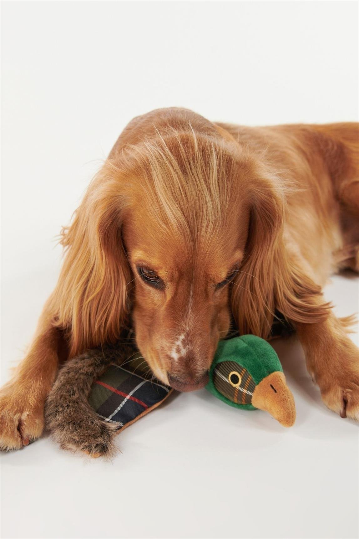 Barbour Köpek Oyuncağı TN11 Classic Tartan