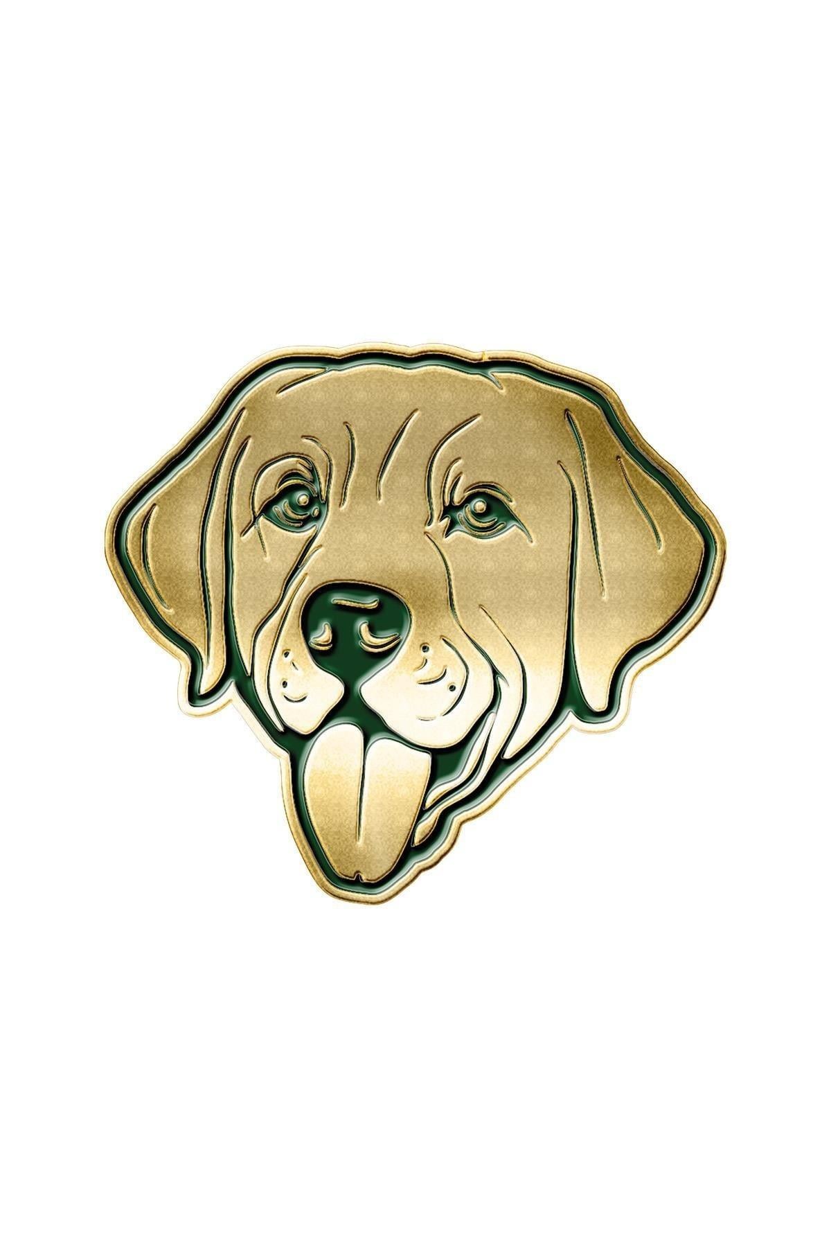 Barbour Labrador Rozet GN12 Celery
