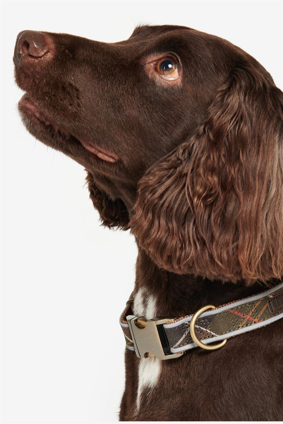 Barbour Reflective Tartan Köpek Tasması TN11 Classic Tartan