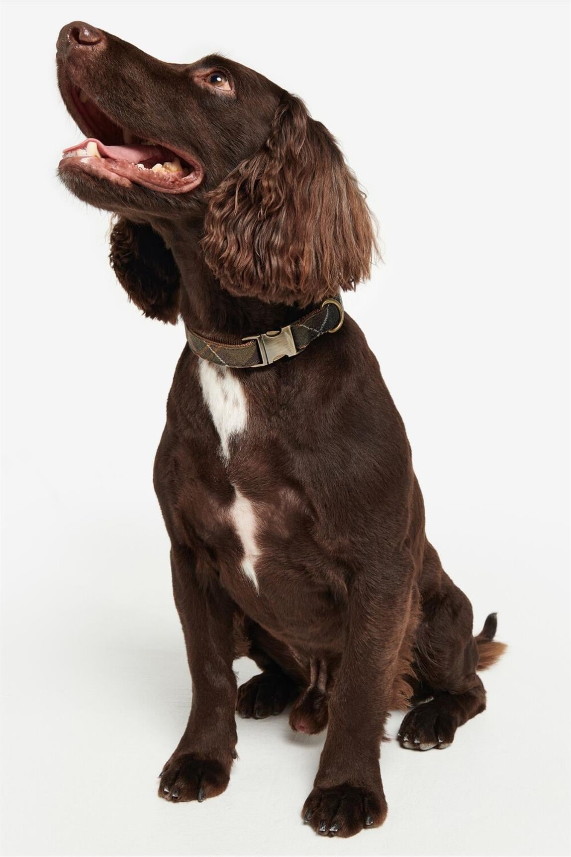 Barbour Reflective Tartan Köpek Tasması TN11 Classic Tartan