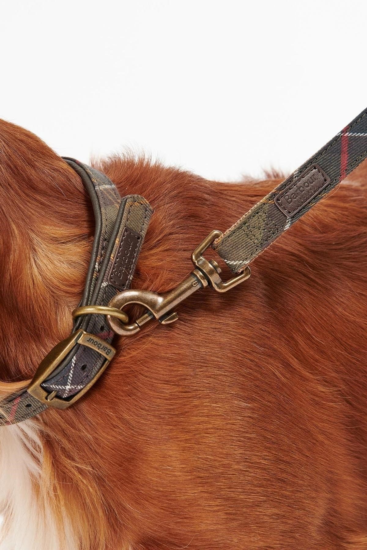 Barbour Tartan/Webbing Köpek Tasma Kayışı TN11 Classic Tartan