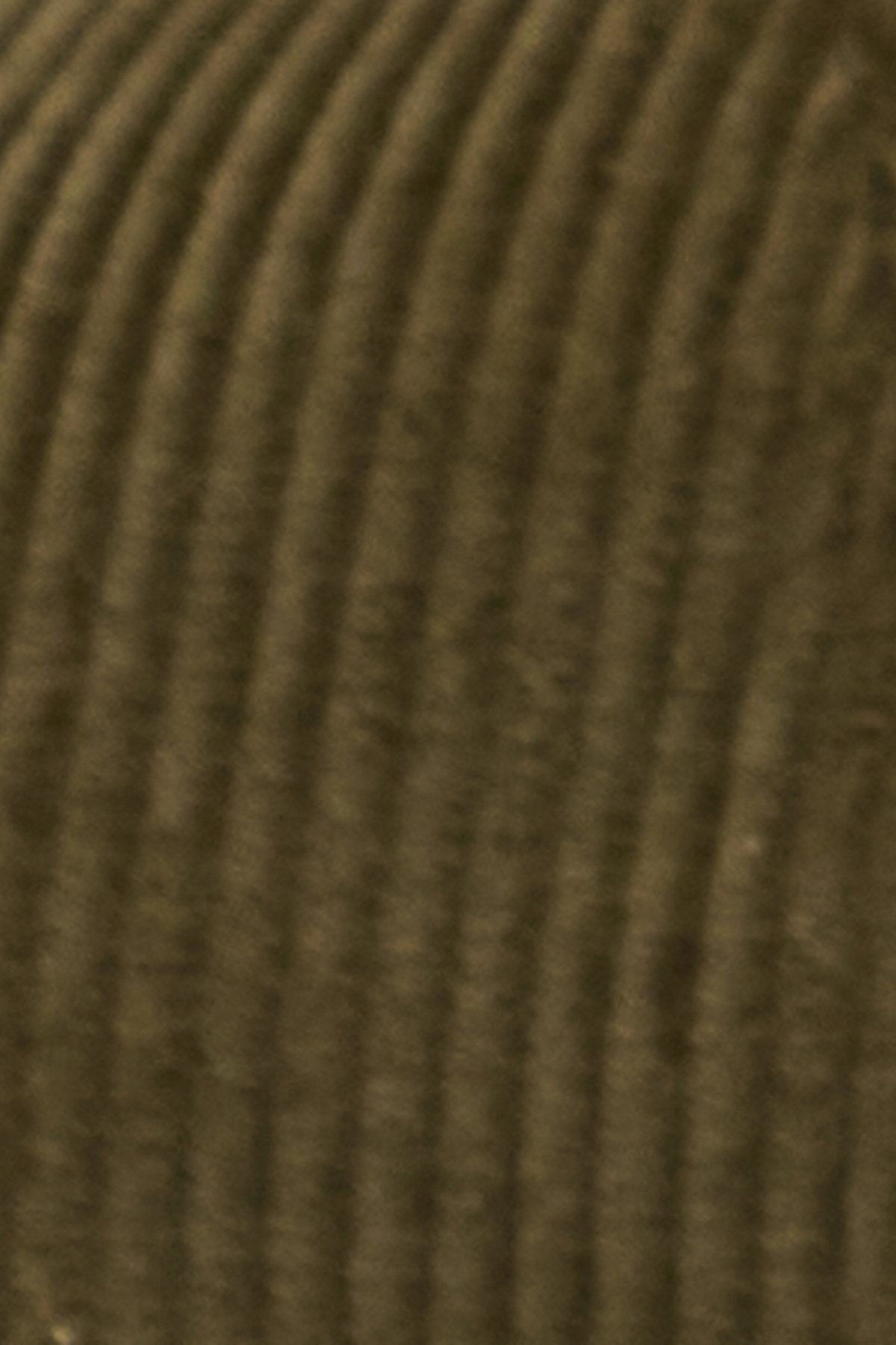 Barbour Westdale Bakerboy Şapka OL71 Olive
