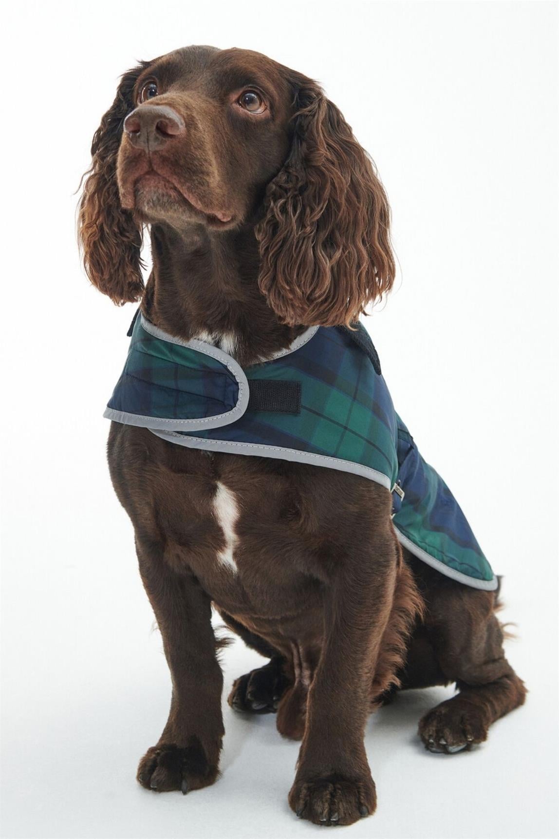 Barbour Wetherham Ekose Köpek Montu NY91 Blackwatch Tartan