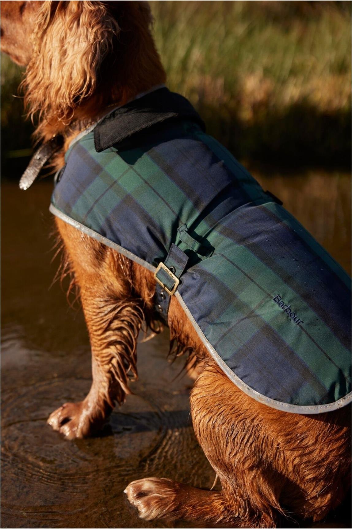 Barbour Wetherham Ekose Köpek Montu NY91 Blackwatch Tartan