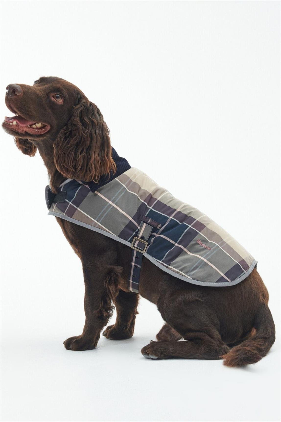 Barbour Wetherham Ekose Köpek Montu PI19 Gardenia Tartan