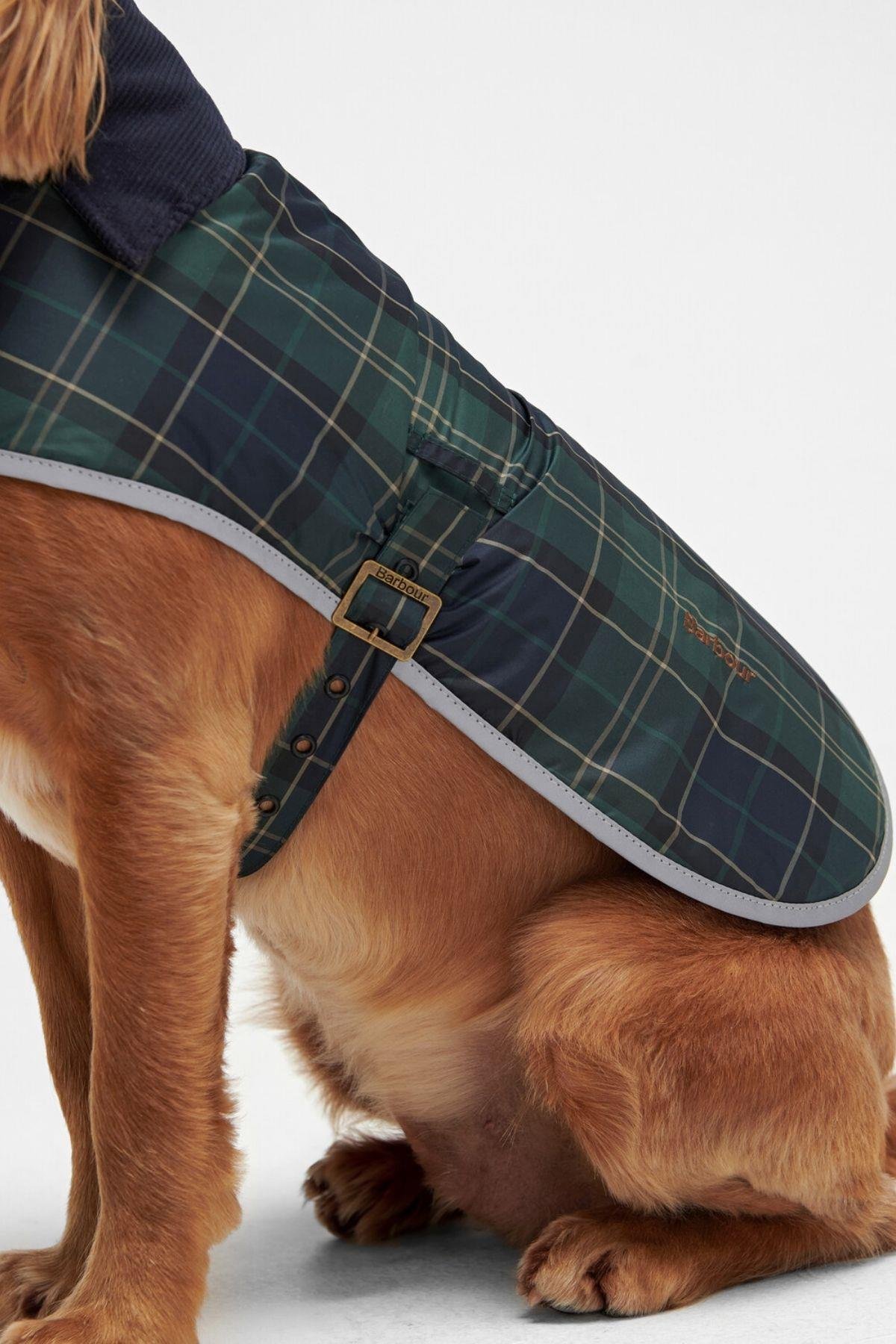 Barbour Wetherham Ekose Köpek Montu TN23 Green Loch Tartan