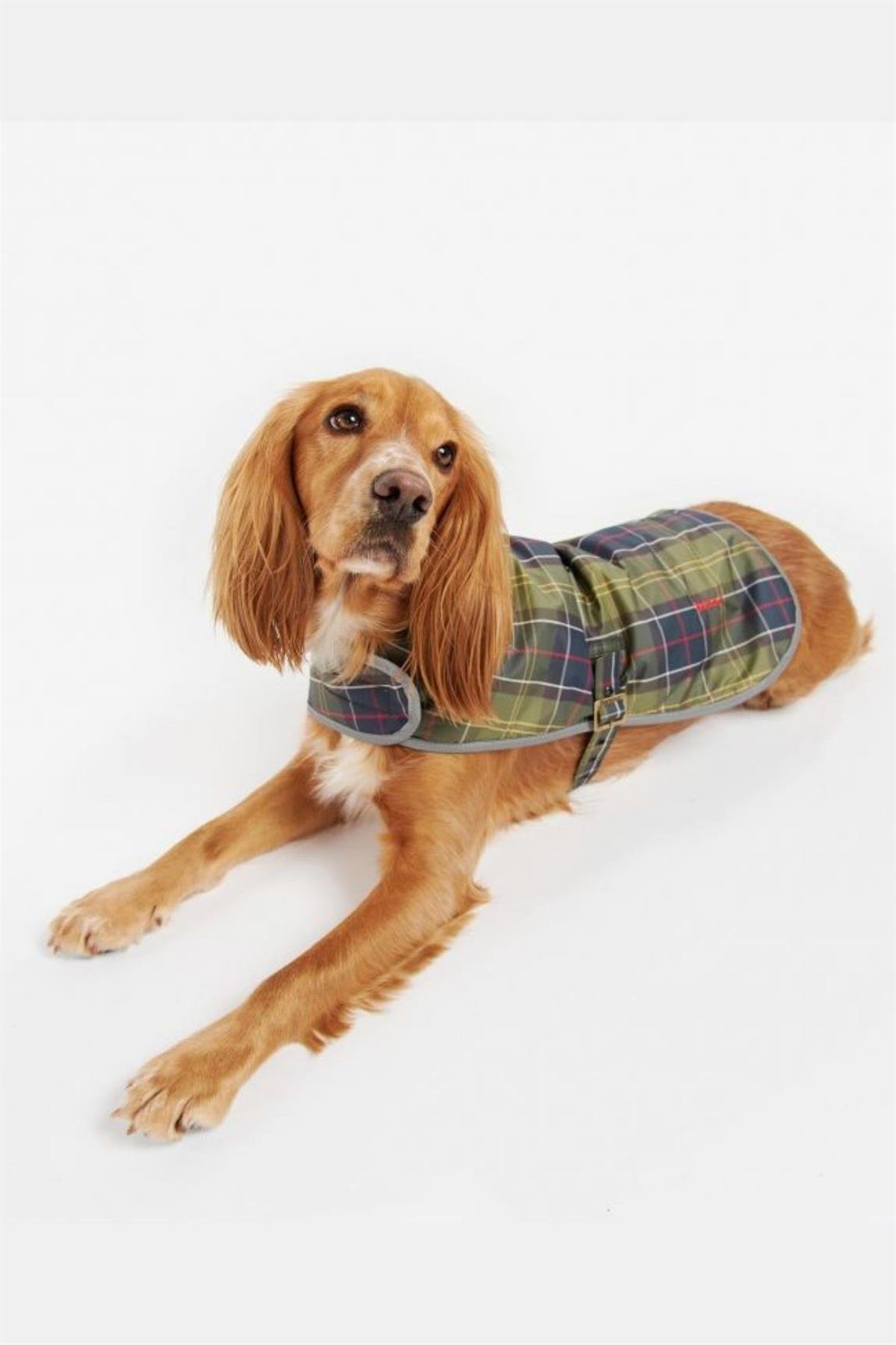 Barbour Wetherham Ekose Köpek Montu TN11 Classic Tartan