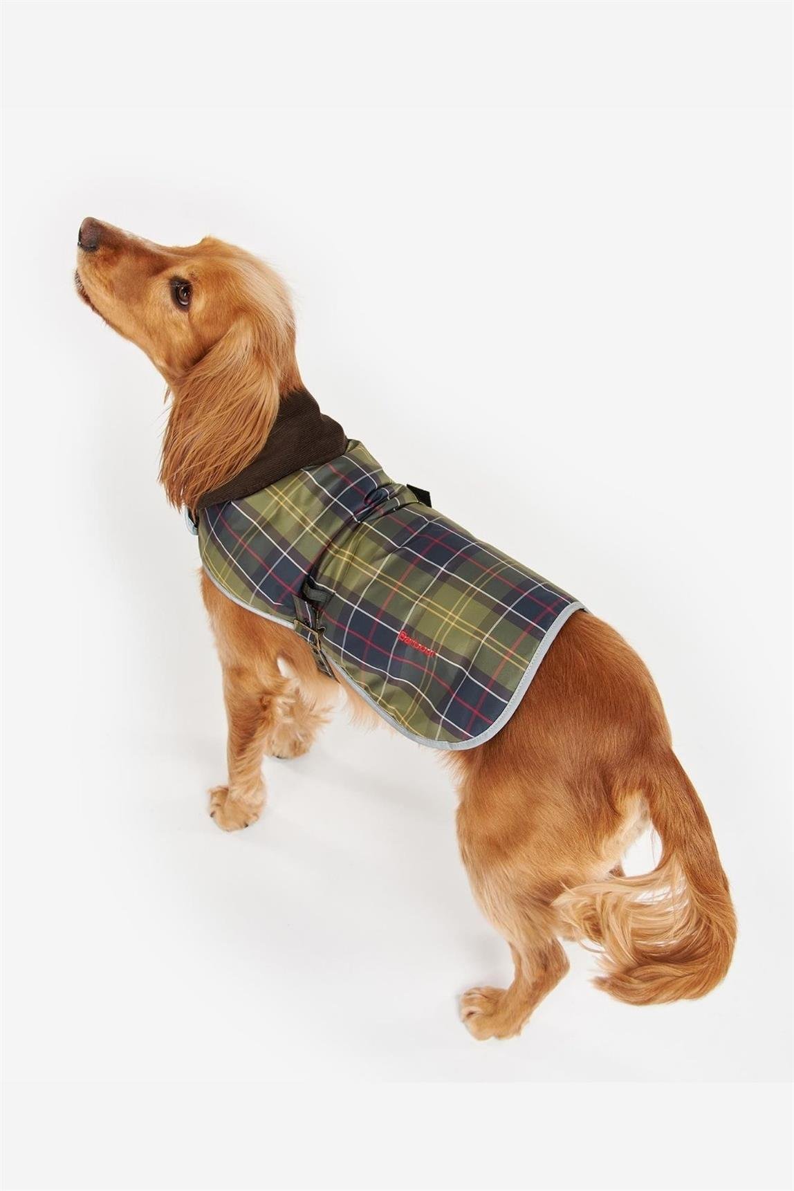 Barbour Wetherham Ekose Köpek Montu TN11 Classic Tartan