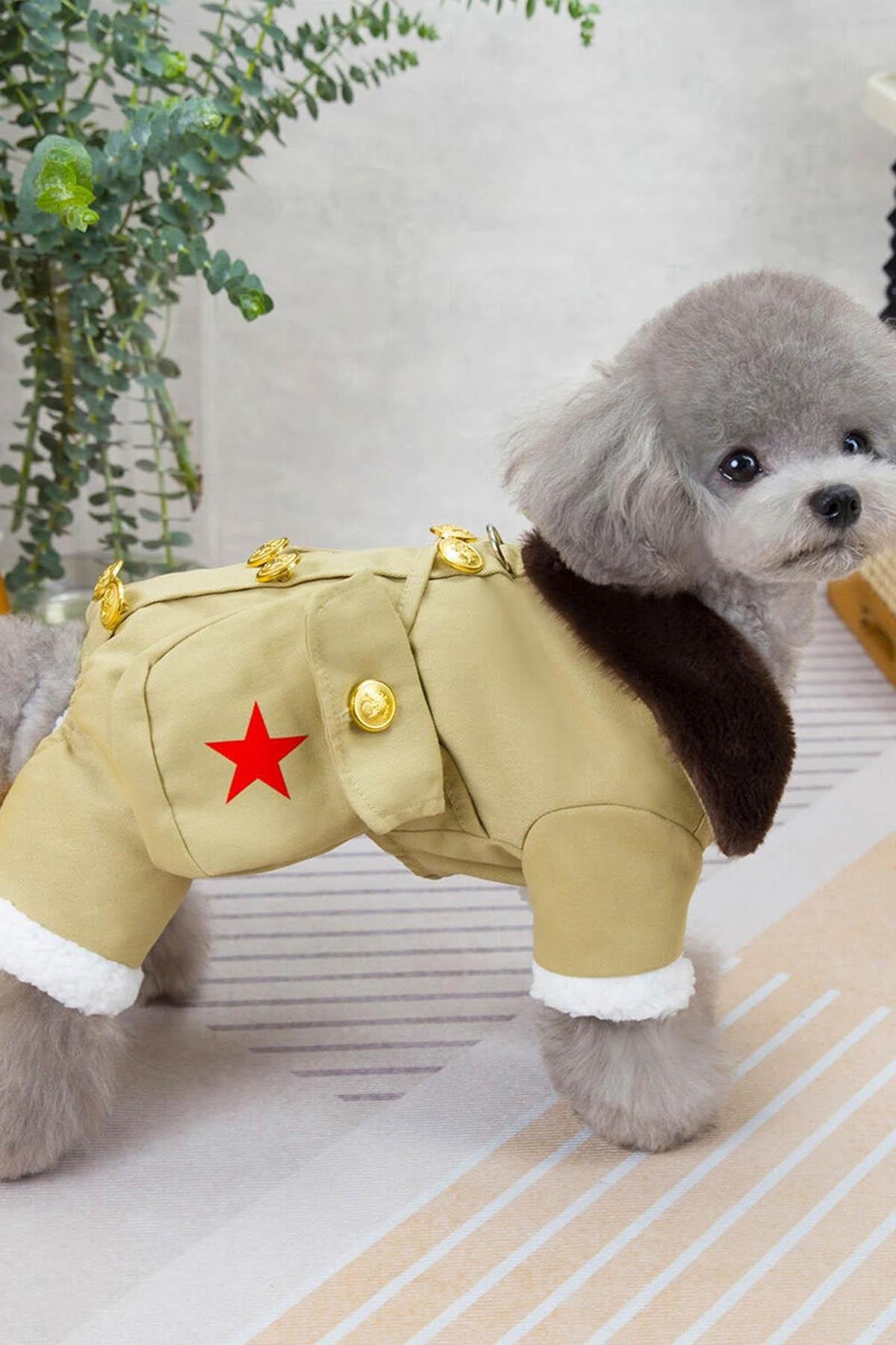 Bej Renk Çanta Detaylı Peluş Astarlı XL Köpek Tulum/Mont