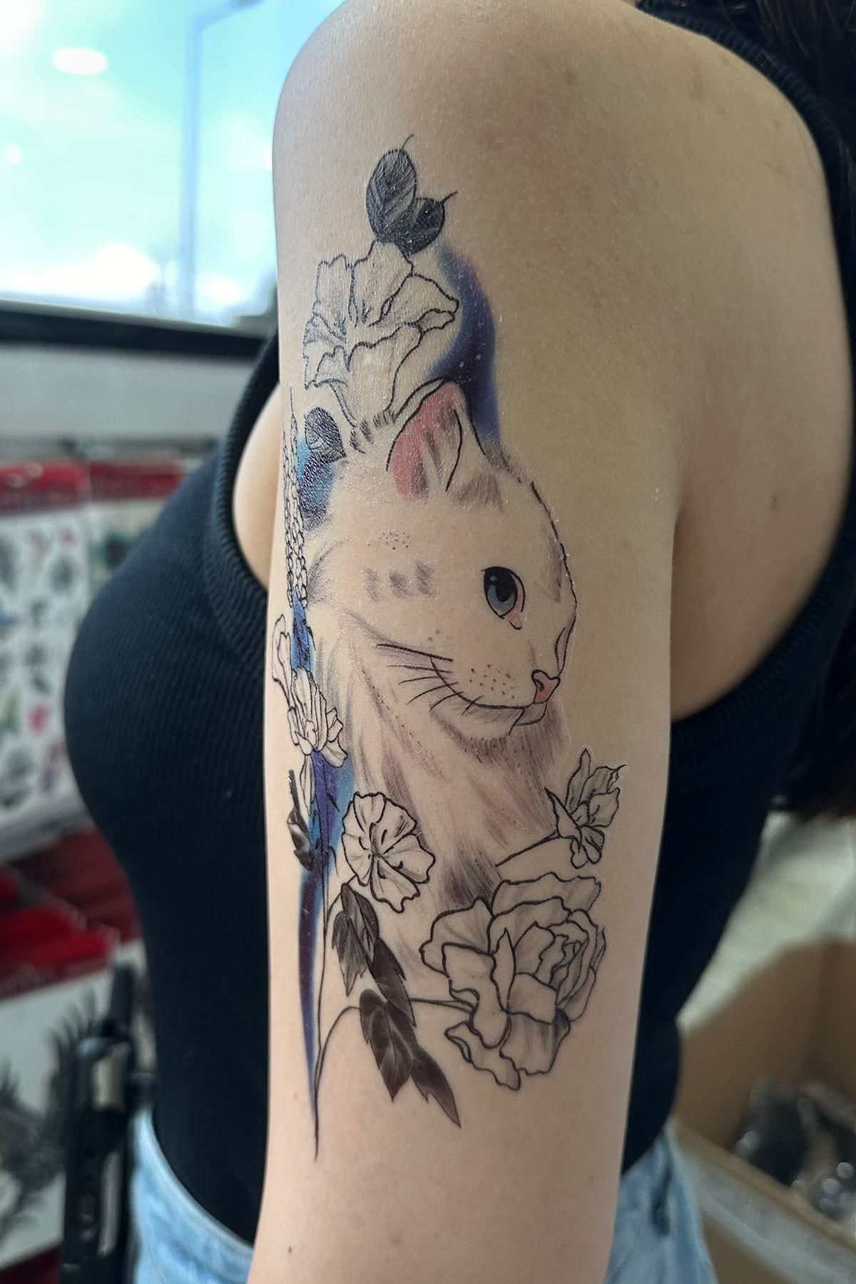 Temporary Cat, Cup and Anchor Tattoo Tattoo