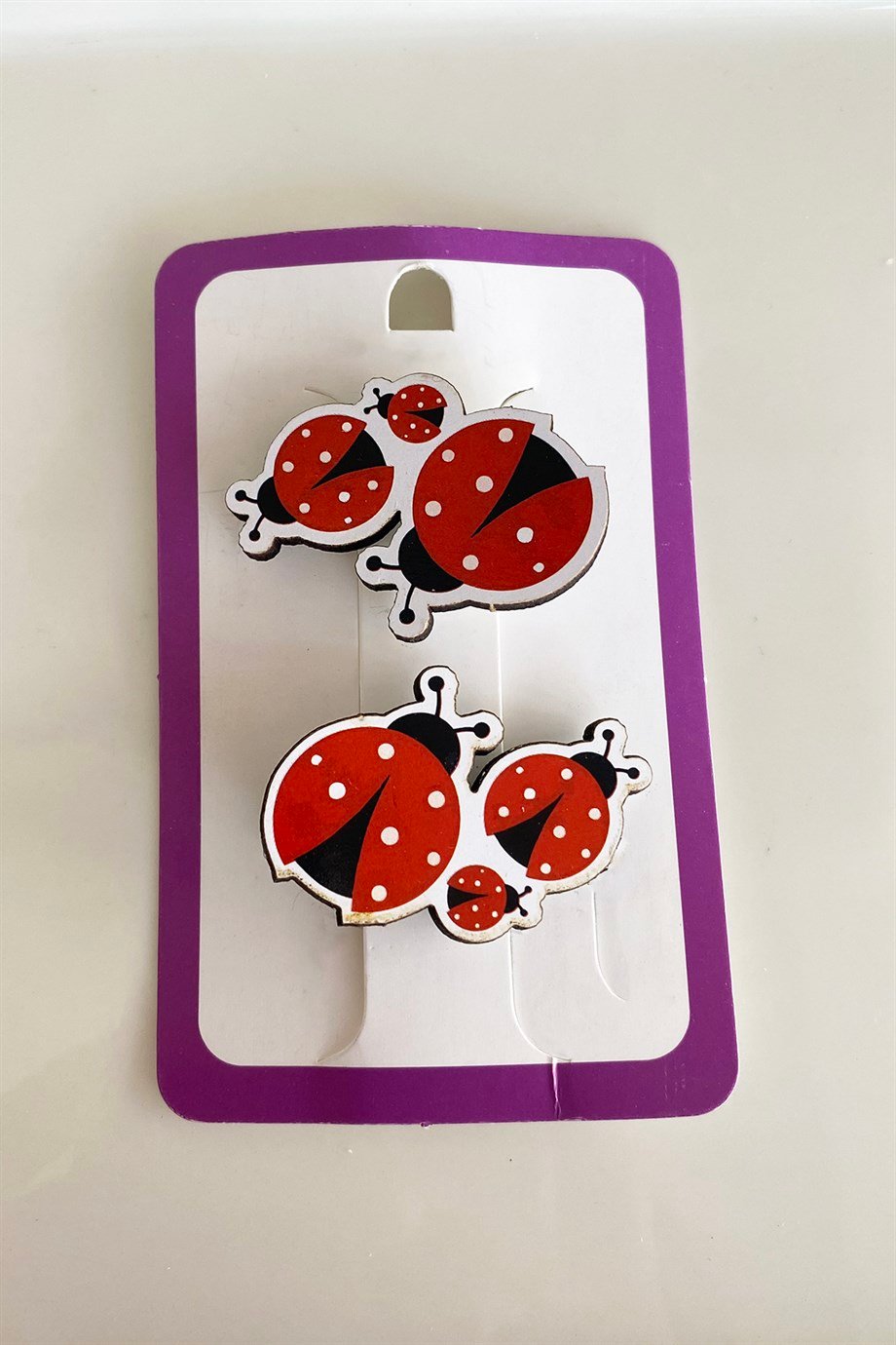 İkili Uğur Böceği Figürlü Çocuk Pens Toka Set