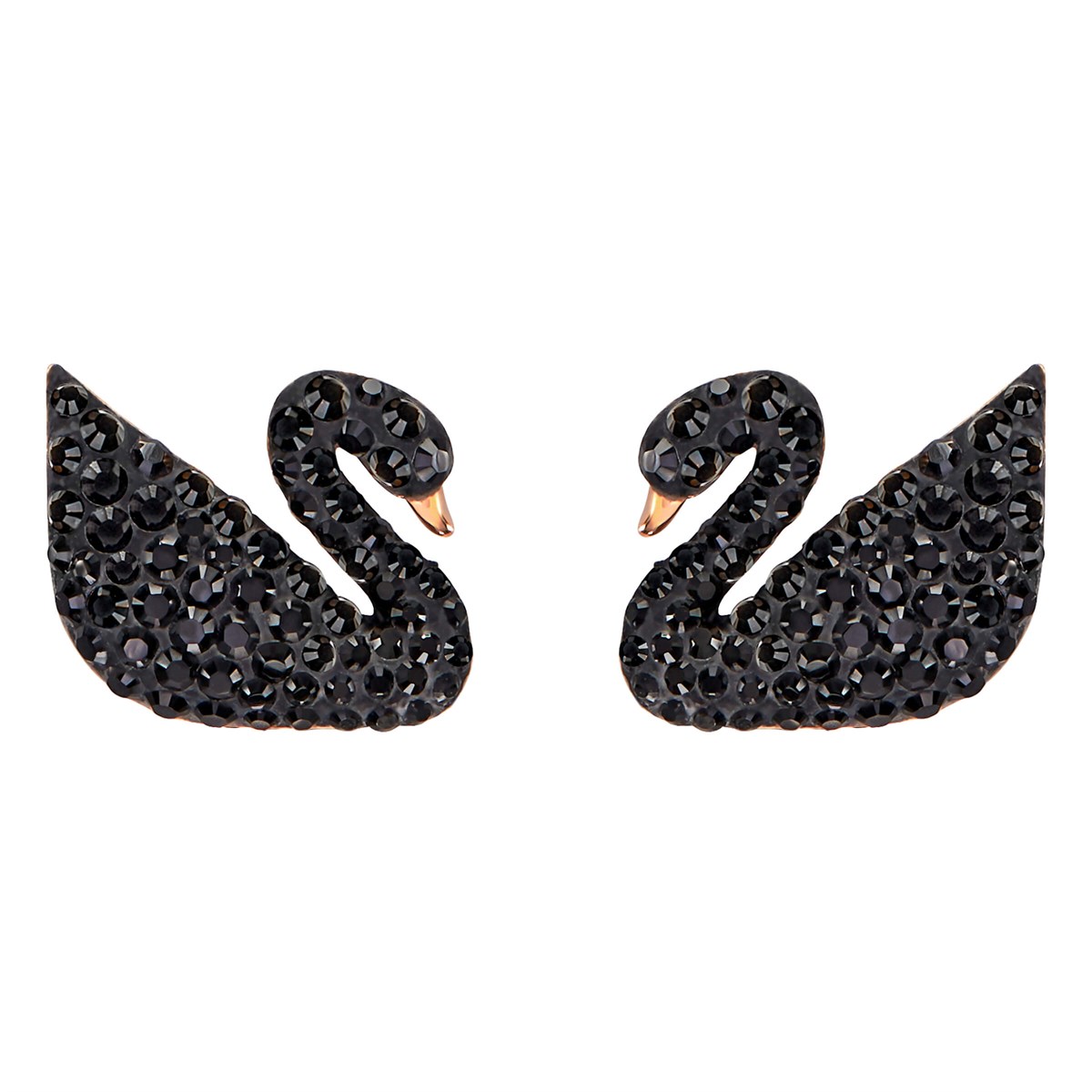 ICONIC SWAN:KÜPE, SİYAH, PEMBE ALTIN RENGİ KAPLAMA