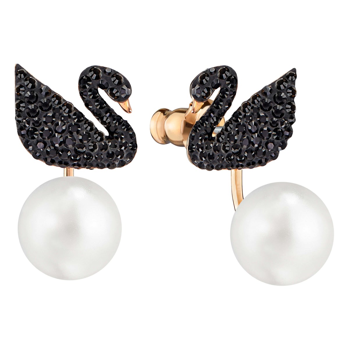 ICONIC SWAN:KÜPE, SİYAH, PEMBE ALTIN RENGİ KAPLAMA